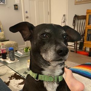 Meet your Posher, Kimberly